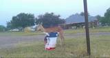 3660 State Highway 285 - Photo 11