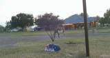 3660 State Highway 285 - Photo 12