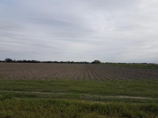 6346 Mile 4 West - Photo 1