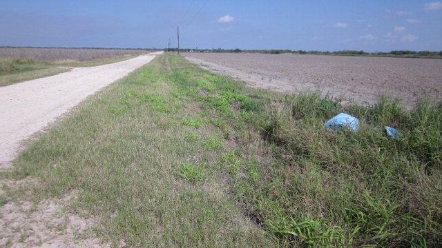 tbd Uncle Peters Road - Photo 1