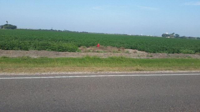 1300 Fm 2556 - Photo 1