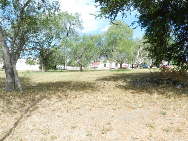 TBD Bridge Avenue - Photo 1