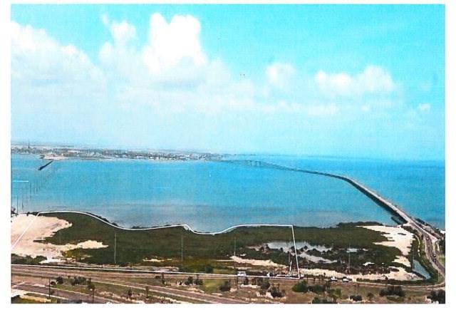 12AC Padre Boulevard - Photo 1