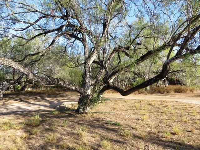 3952 Fm 755 - Photo 1