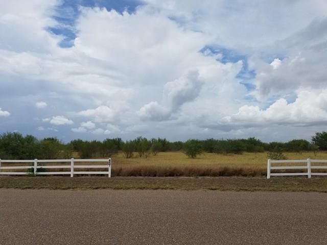 TBD Fallow Lane - Photo 1