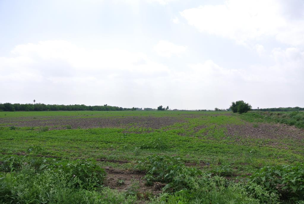 00 Benito A Ramirez Road - Photo 1