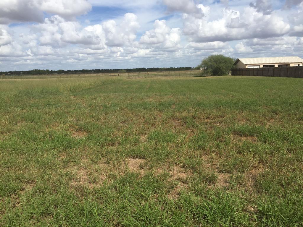 0000 Davis Road - Photo 1