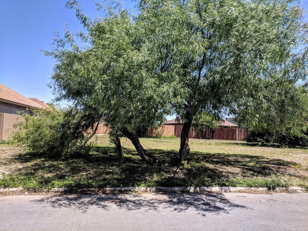 905 Diplomat Drive - Photo 1