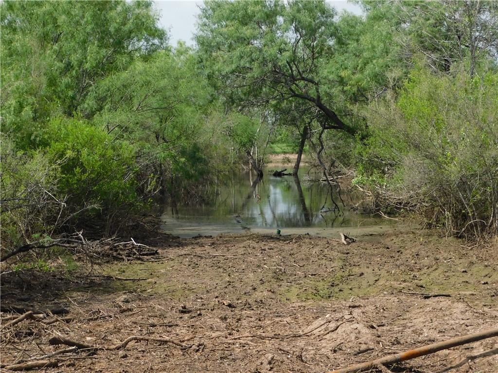 1 Fm 1017 Road - Photo 1