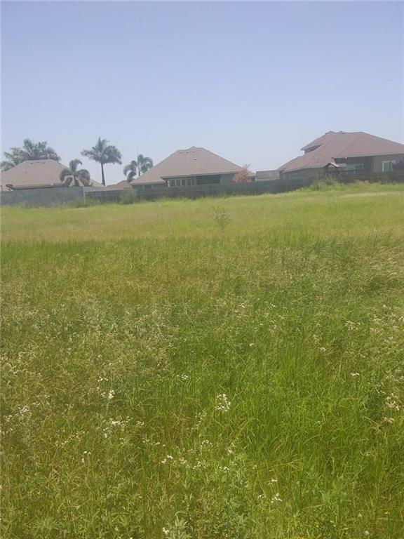 1509 Alexa Marie Street - Photo 1