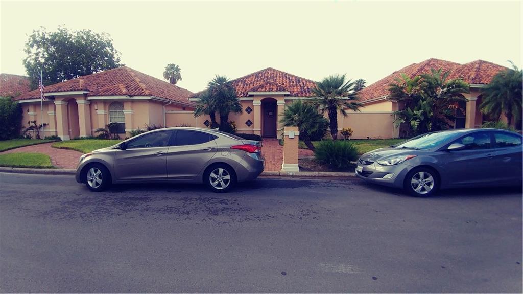 209 Xanthisma Avenue - Photo 1