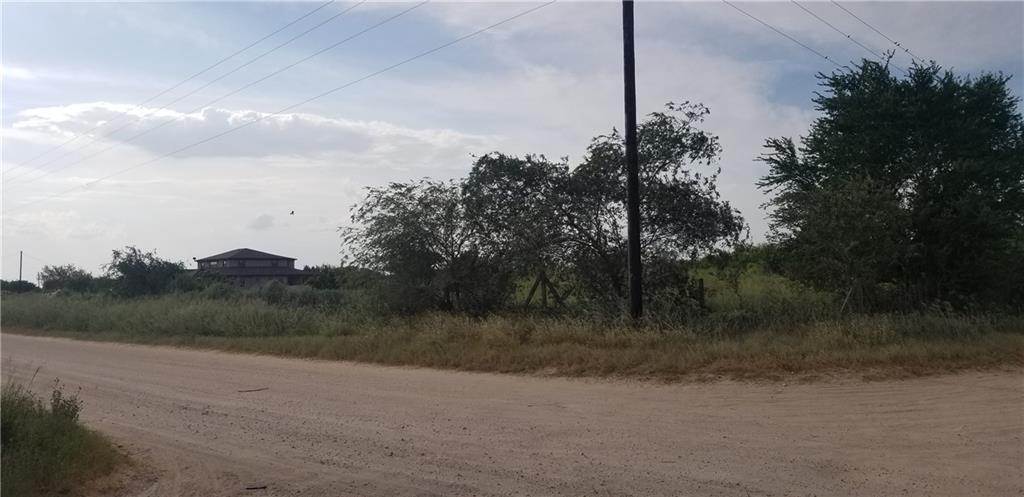 0 Mile 7 Road - Photo 1