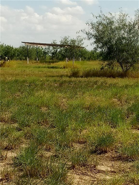 0000 Aggie Drive - Photo 1