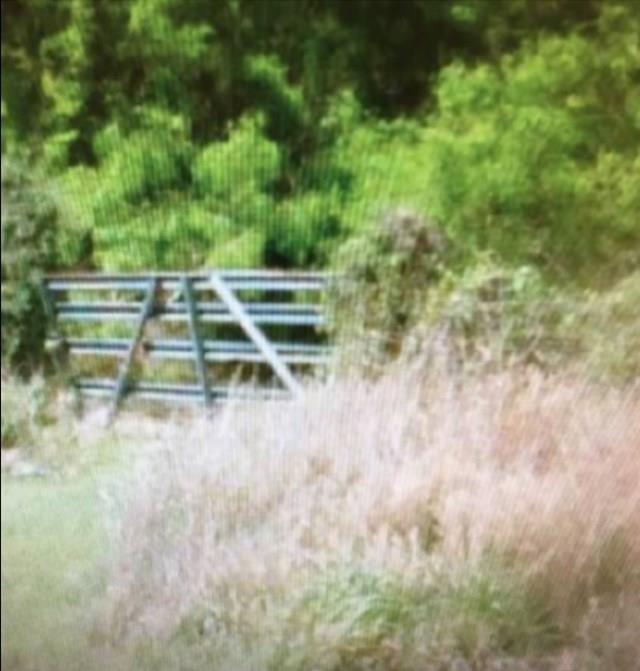 0 Fm 493 Highway - Photo 1