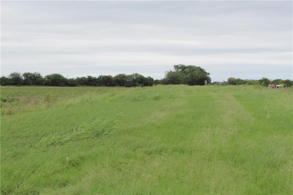 0 Mile 4 West Road - Photo 1