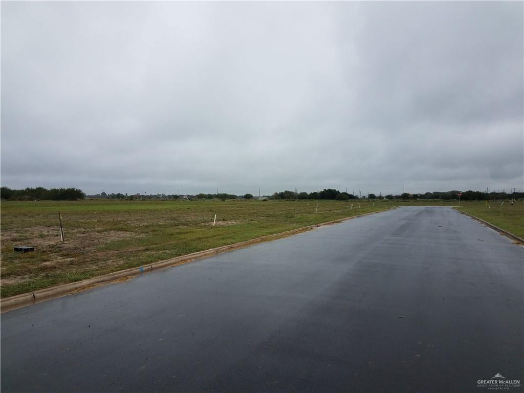 710 Fitzgerald Street - Photo 1