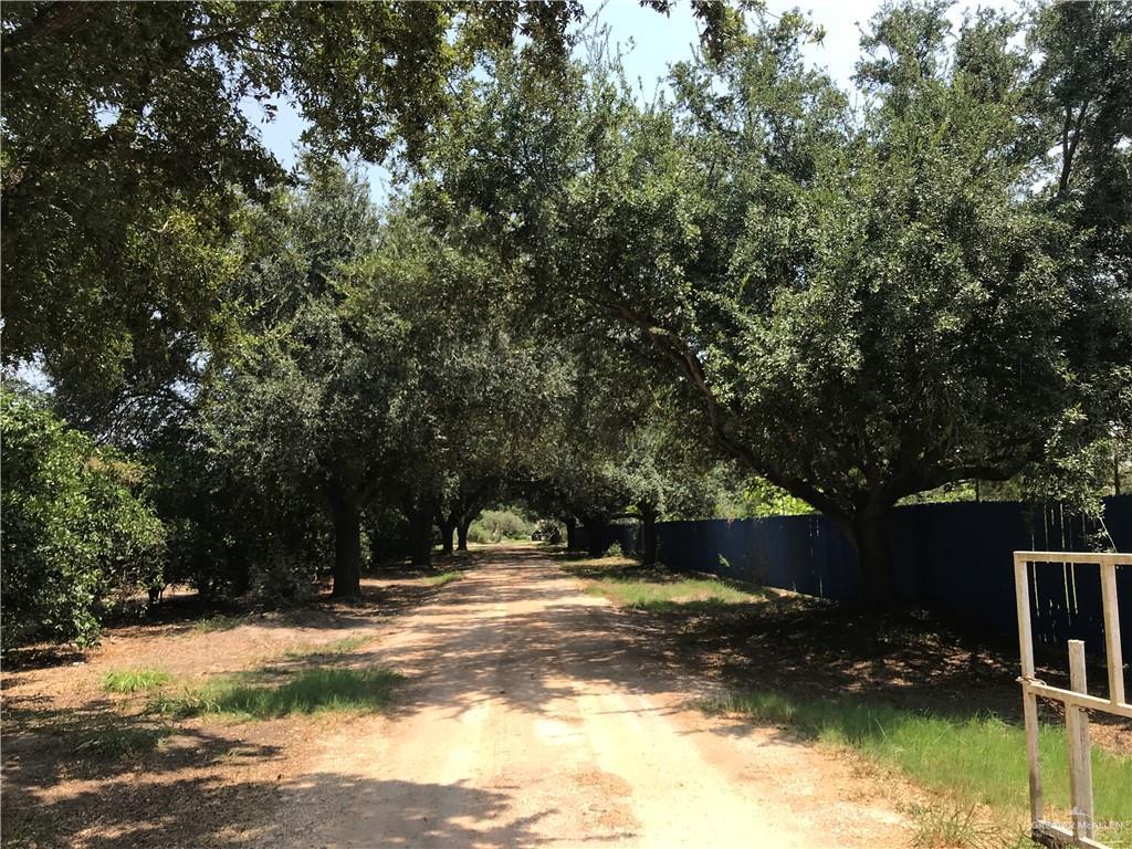 13706 Rooth Road - Photo 1