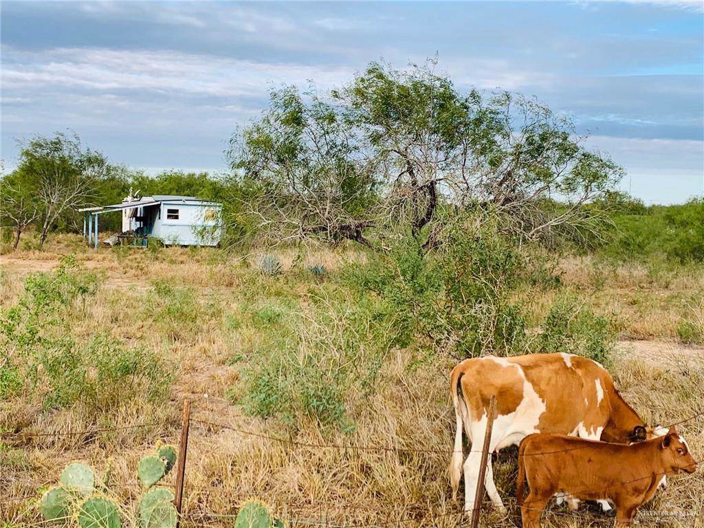 00 Texan Road - Photo 1
