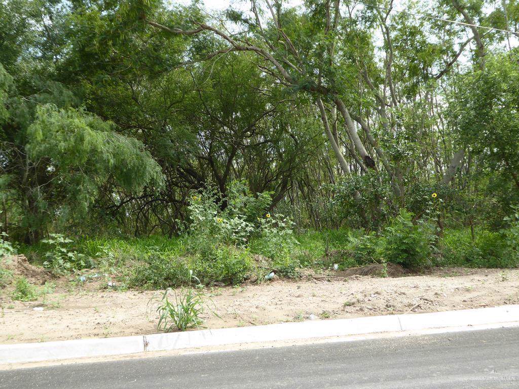 1200 Anaquitas Street - Photo 1