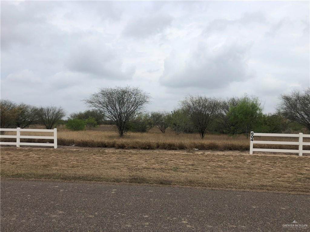 604 Buck Fawn Drive - Photo 1