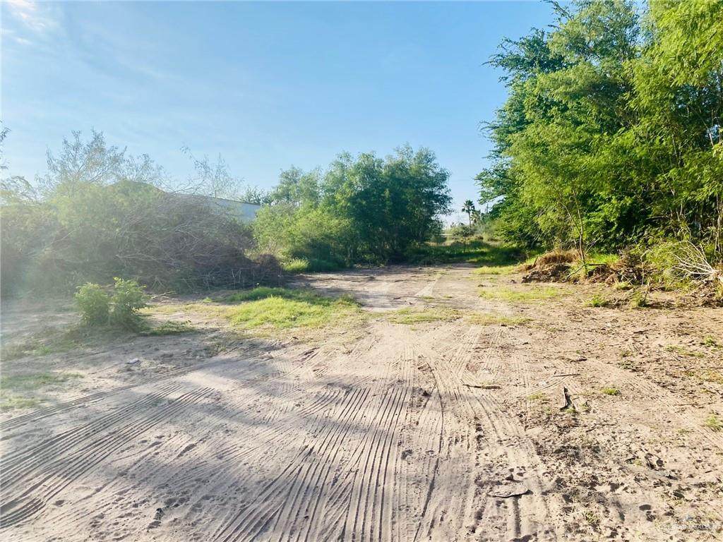 3805 Cenizo Street - Photo 1