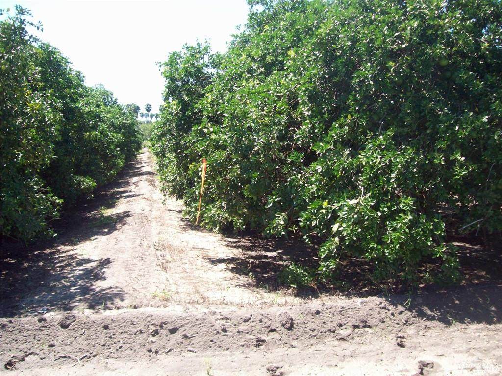 TBD White Ranch - Photo 1