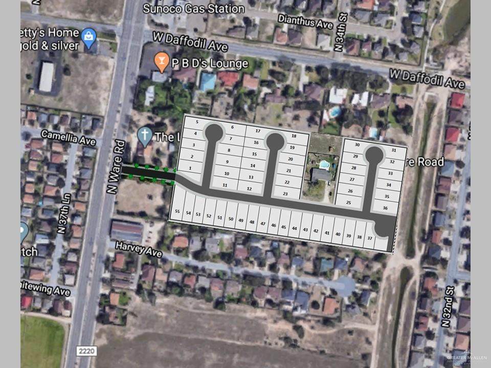 3401 Camellia - Photo 1
