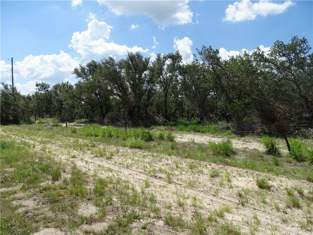 0 Brooks County Road 406 - Photo 1