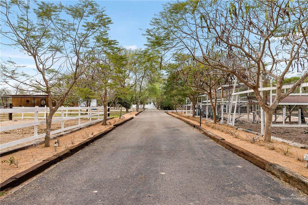 1549 El Rancho Blanco - Photo 1
