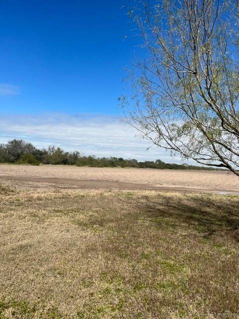 TBD Us Highway 281 - Photo 1