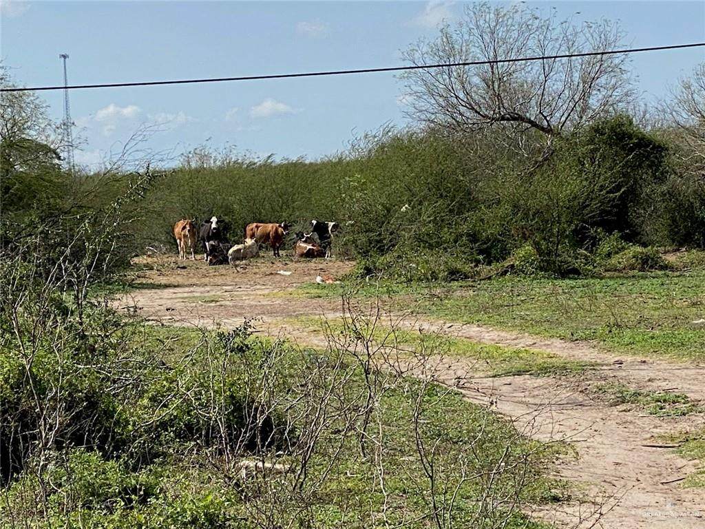 0 Brushline - Photo 1