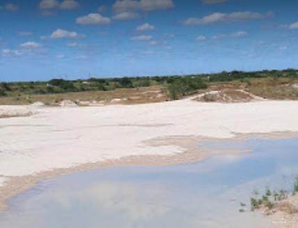 Tract 1 Fm 1017 - Photo 1