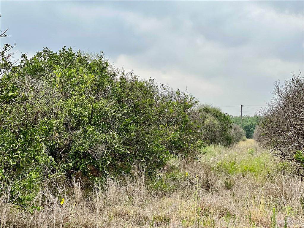 6.5 mi La Gallina - Photo 1