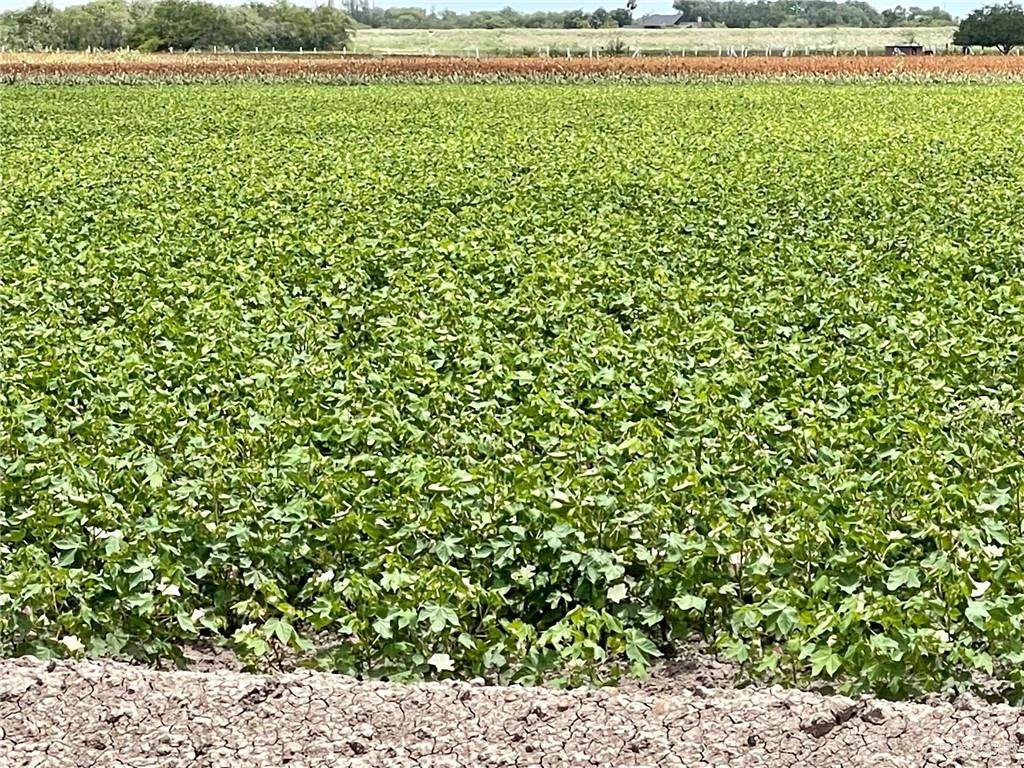 https://bt-photos.global.ssl.fastly.net/mcallen/orig_boomver_1_384264-2.jpg