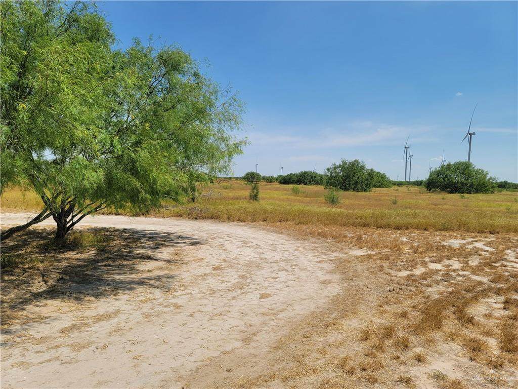 1254 La Morita - Photo 1