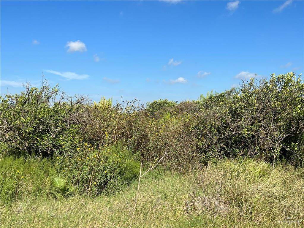 10.75 Mi Western - Photo 1
