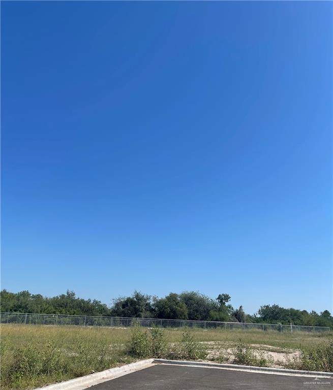 3505 Zinnia - Photo 1