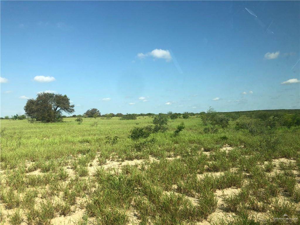 66 El Quiote - Photo 1
