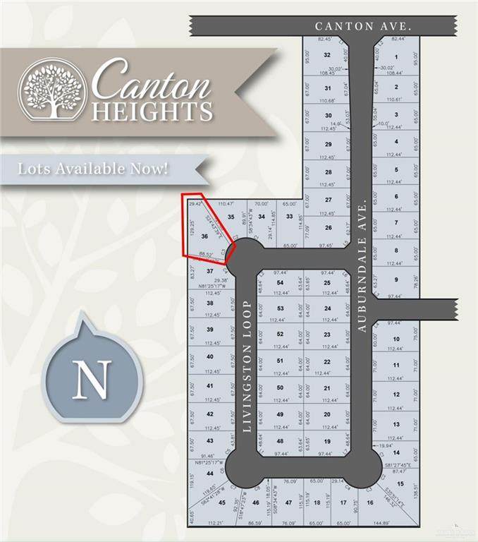 2923 Weston - Photo 1