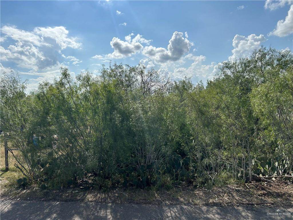 Lot 35 Eagle - Photo 1