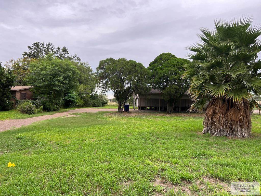 18561 Primera - Photo 1