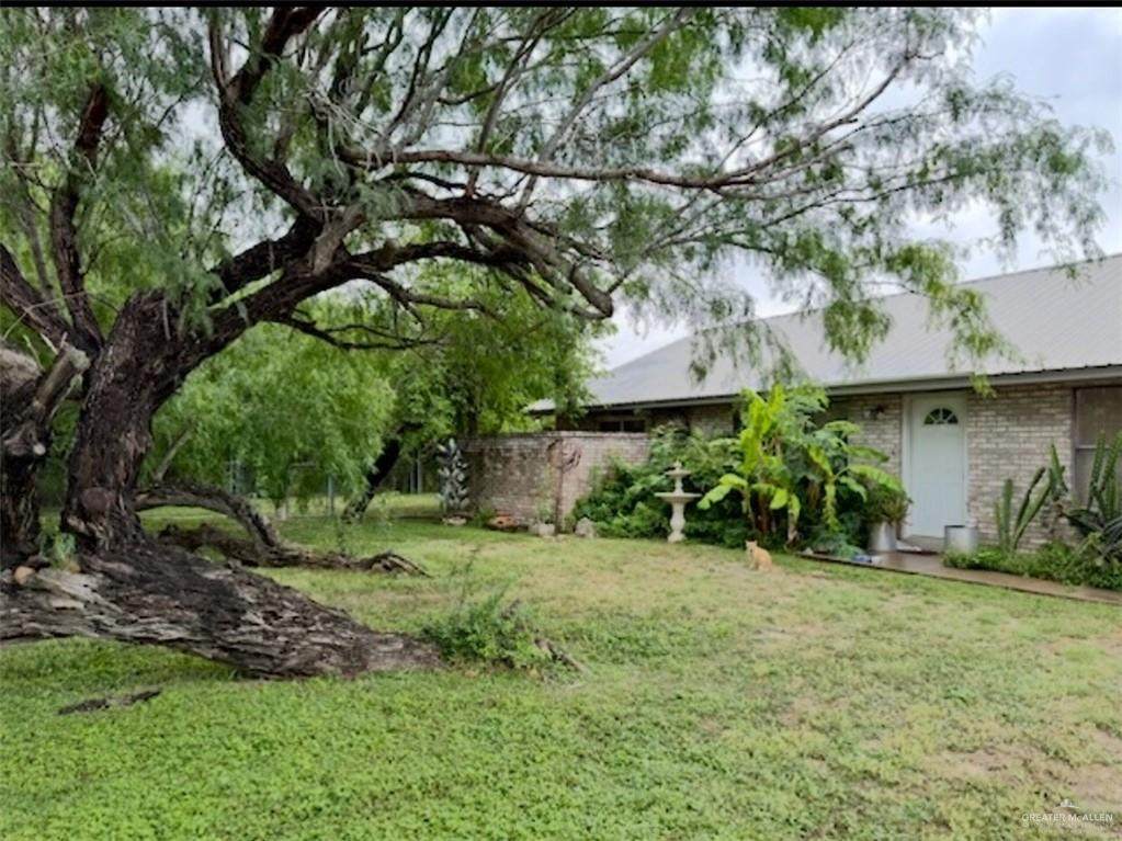 200 Javelina - Photo 1