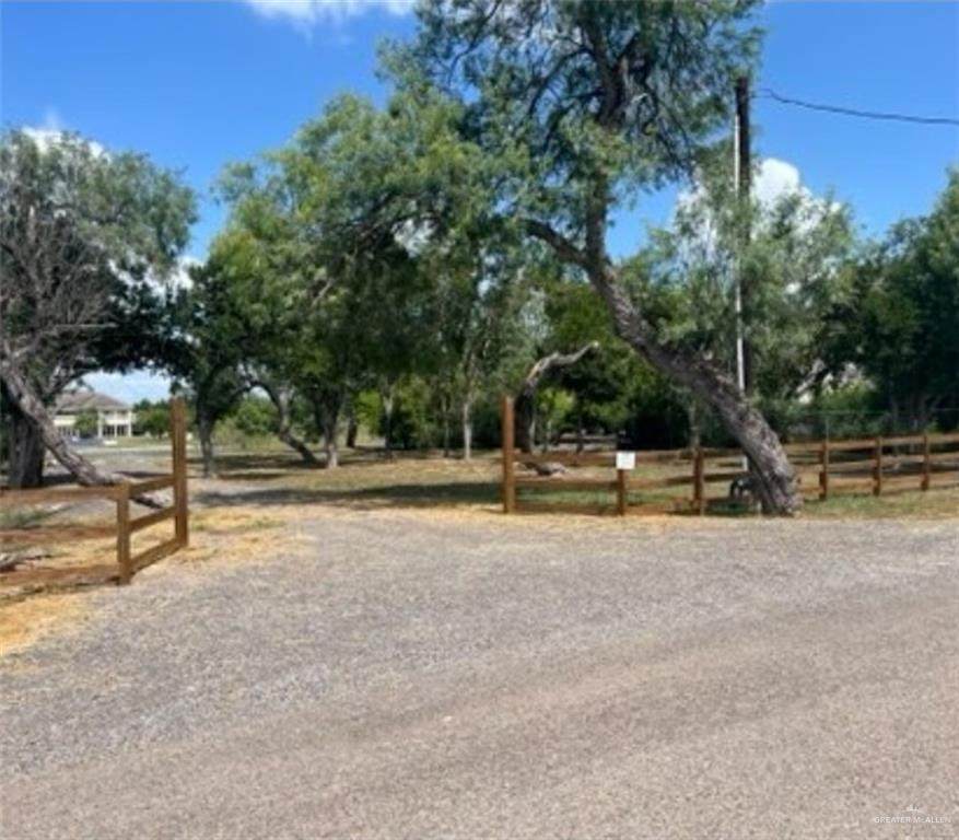 844 Lion Lake - Photo 1