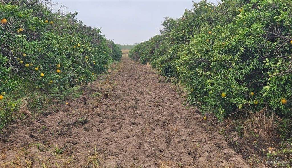 1107 Davis - Photo 1