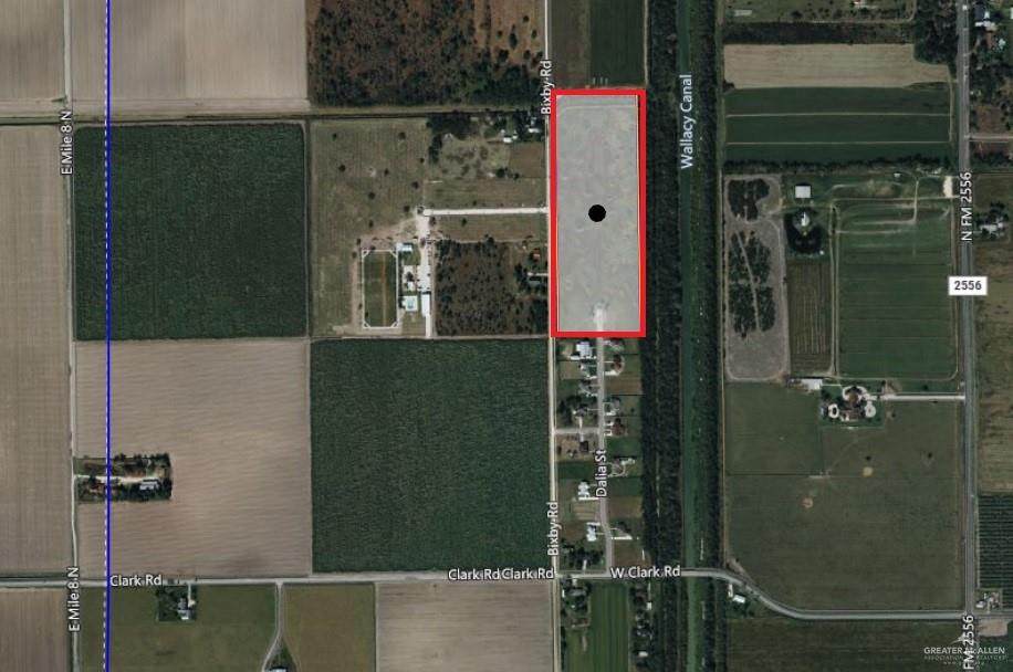 01-03 Dalia - Photo 1