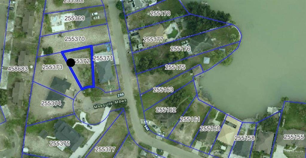 209 Mesquite - Photo 1