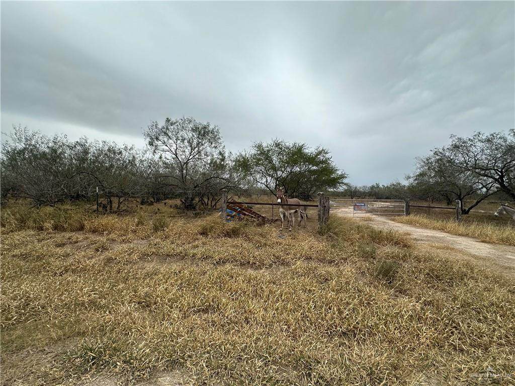 2325 State Highway 285 - Photo 1