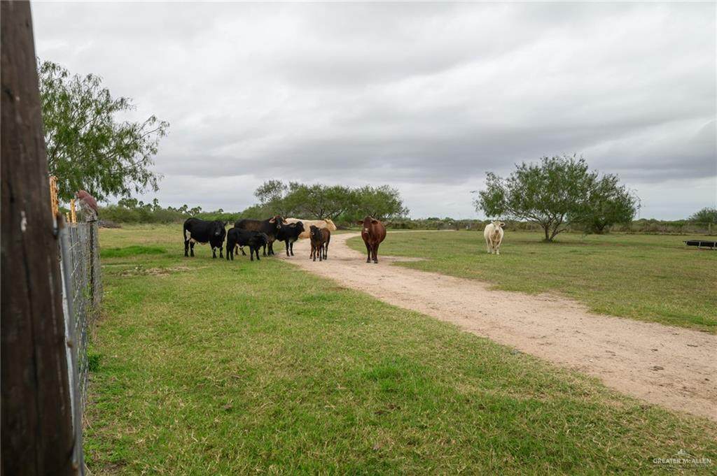 https://bt-photos.global.ssl.fastly.net/mcallen/orig_boomver_1_489140-2.jpg