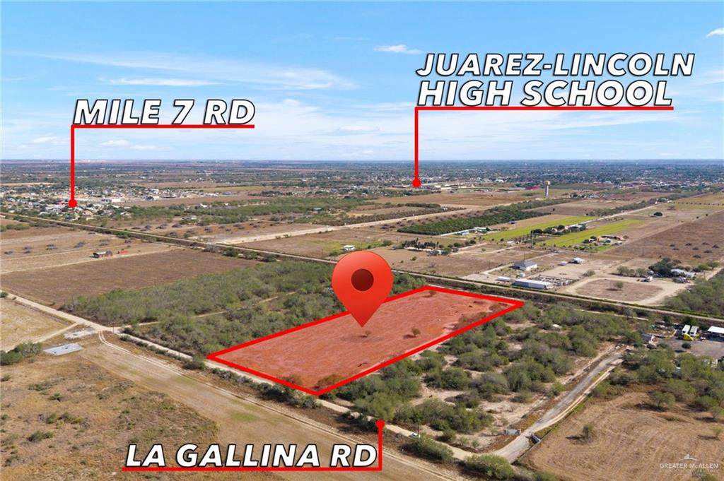 0 La Gallina - Photo 1