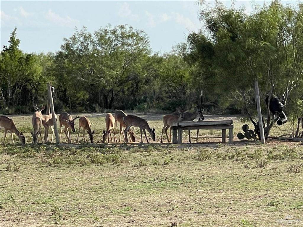 https://bt-photos.global.ssl.fastly.net/mcallen/orig_boomver_1_496282-2.jpg